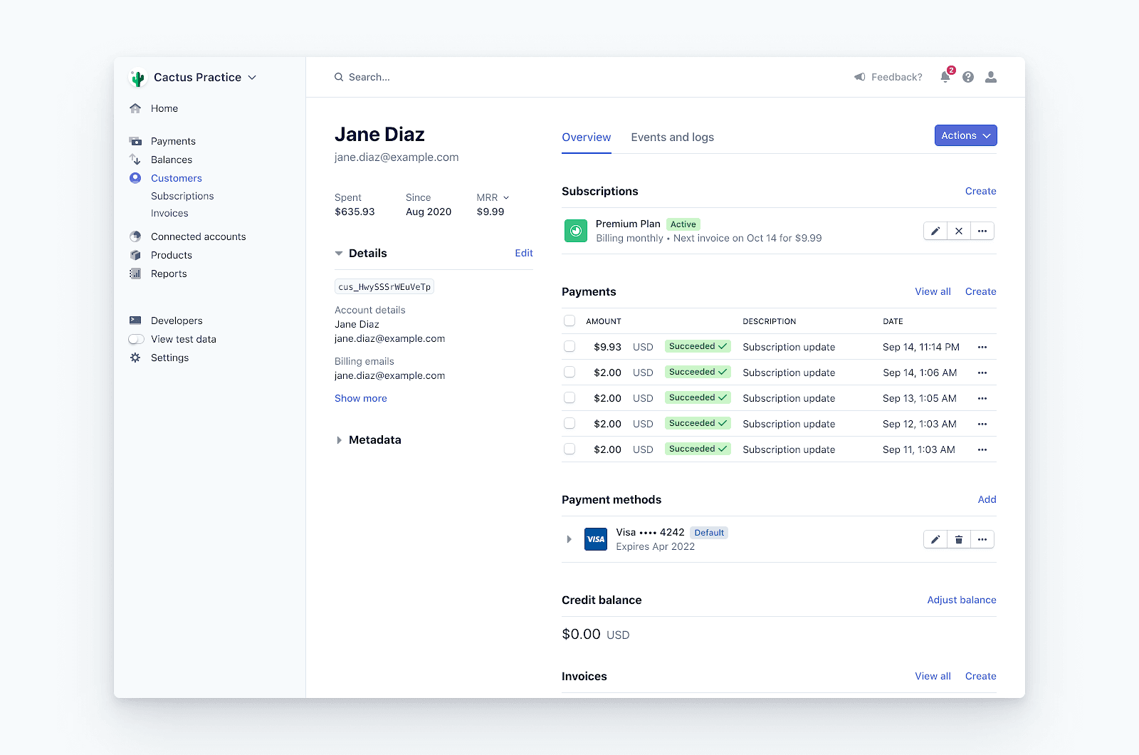 Stripe Dashboard