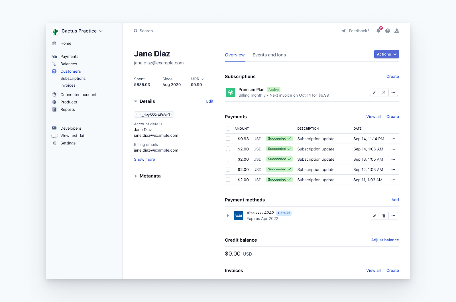 Stripe Dashboard